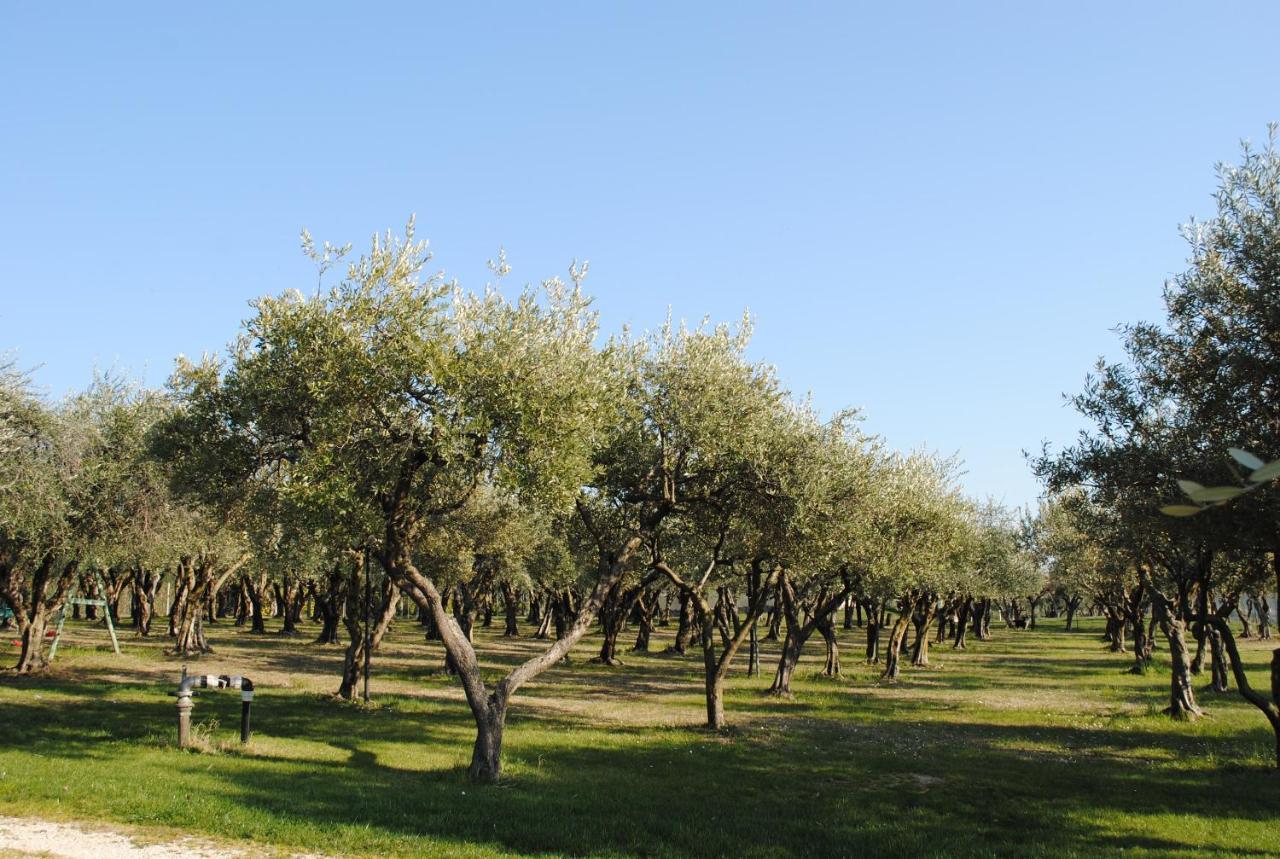 Agriturismo Melograno D'Oro Bardolino Luaran gambar