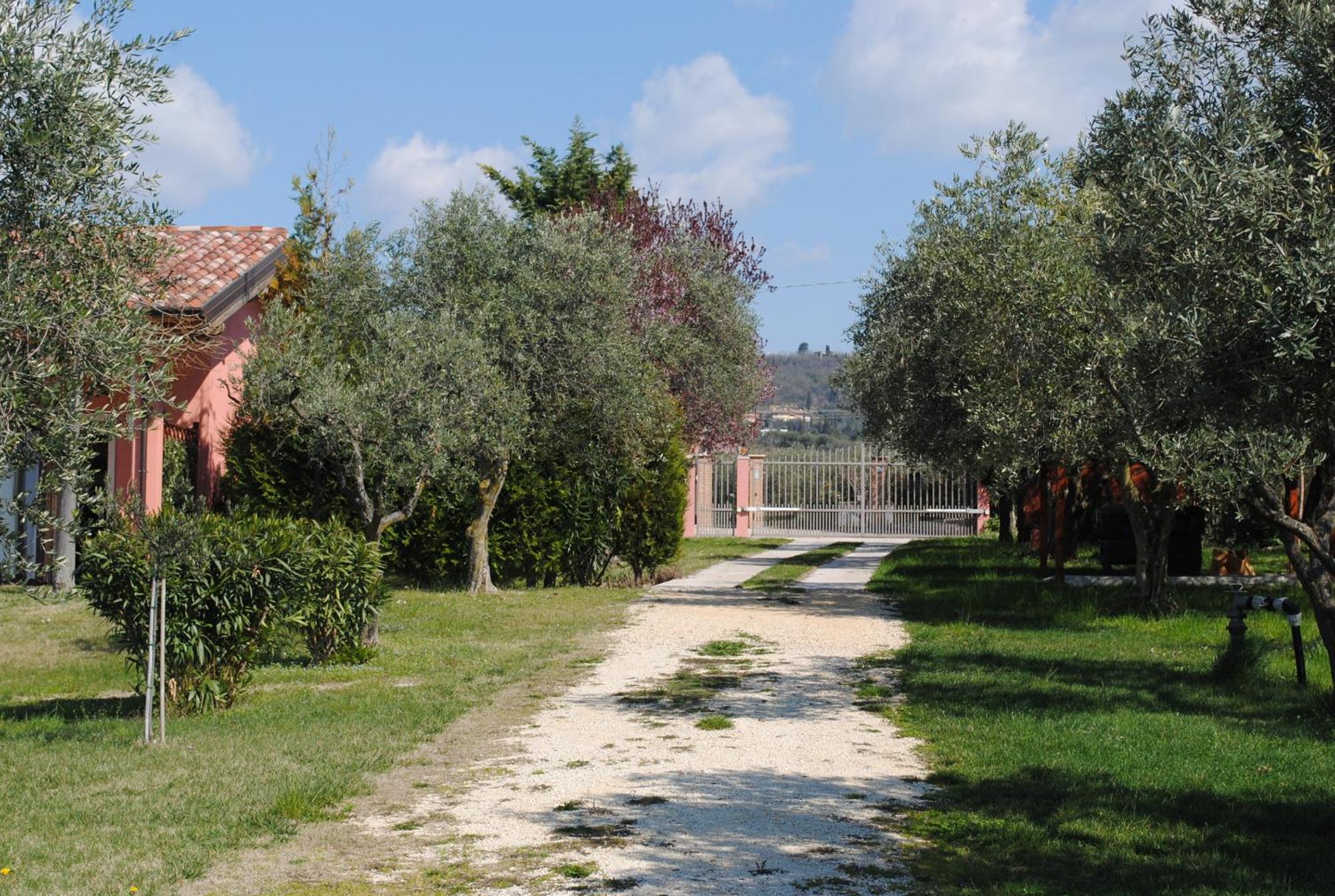 Agriturismo Melograno D'Oro Bardolino Luaran gambar