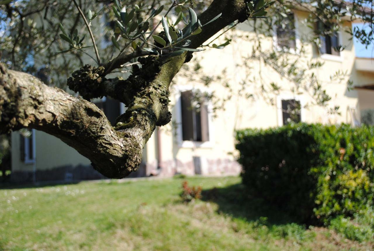 Agriturismo Melograno D'Oro Bardolino Luaran gambar