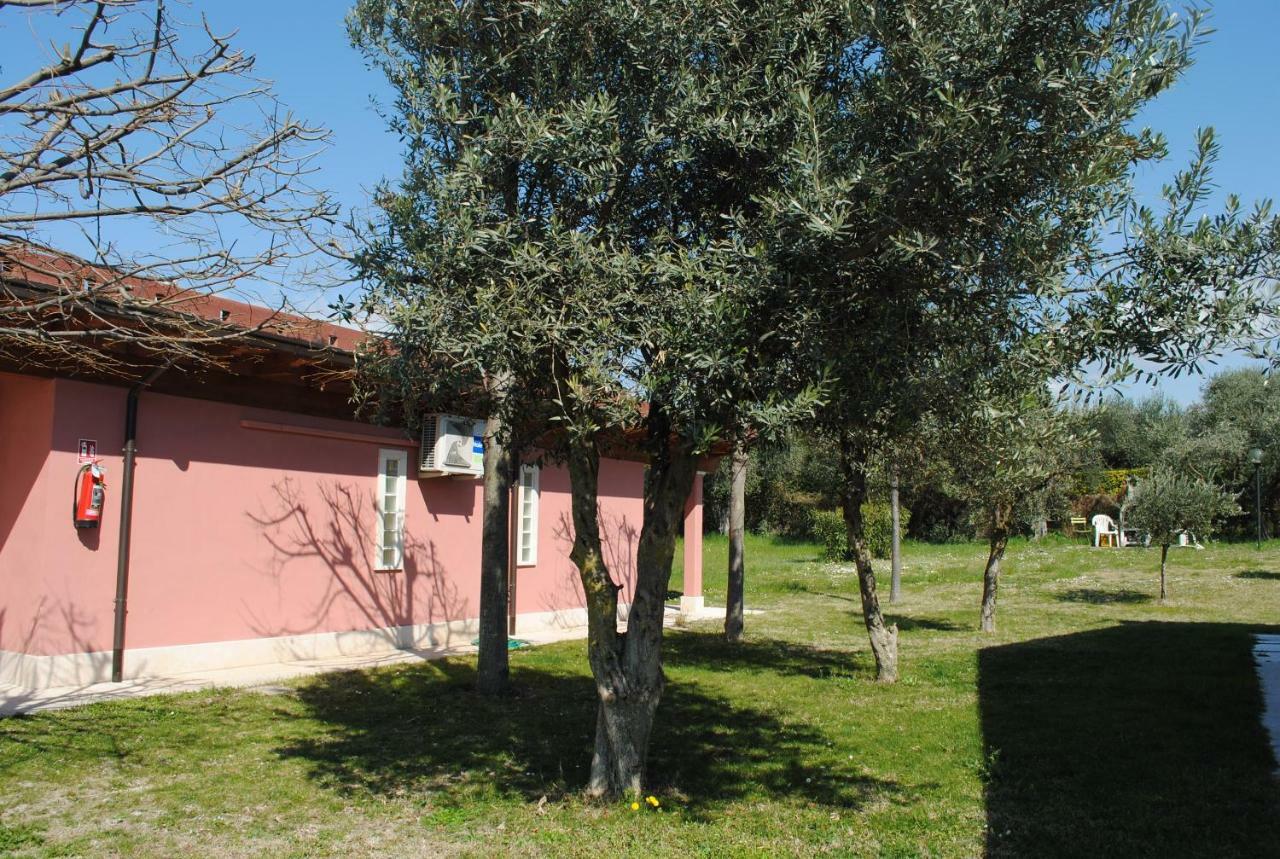 Agriturismo Melograno D'Oro Bardolino Luaran gambar